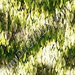 Colour:B