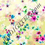 Colour:A