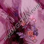 Colour:B