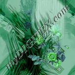Colour:C