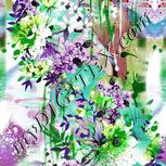 Colour:C