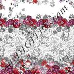 Colour:B