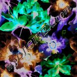 Colour:F