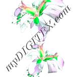 Colour:C