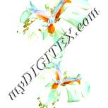 Colour:K