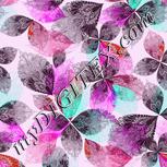 Colour:B