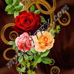 Colour:A