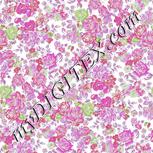Colour:B