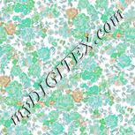 Colour:C