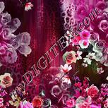 Colour:B