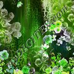 Colour:D