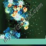 Colour:K