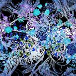 Colour:F