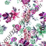 Colour:B