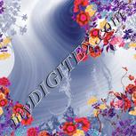 Colour:B