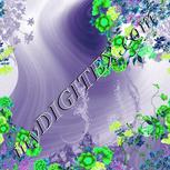 Colour:C
