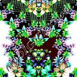 Colour:C