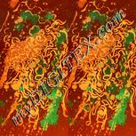 Colour:F