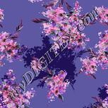 Colour:A