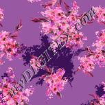 Colour:J