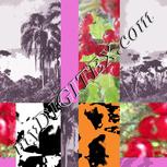 Colour:A