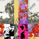 Colour:B