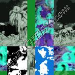 Colour:F