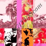 Colour:J