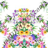 Colour:A