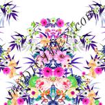 Colour:B