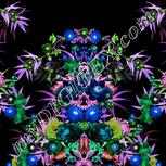 Colour:F