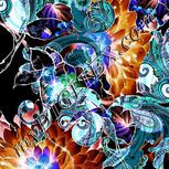 Colour:F