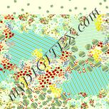 Colour:K