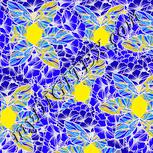 Colour:F