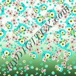Colour:K
