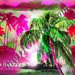 Colour:B