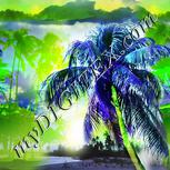 Colour:D