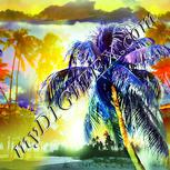 Colour:K