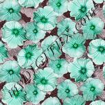 Colour:C