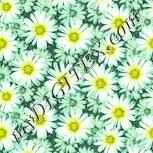Colour:K