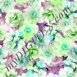Colour:C