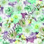 Colour:D
