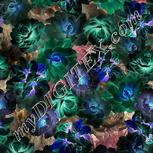 Colour:F