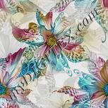 Colour:A