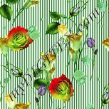 Colour:K