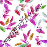 Colour:B