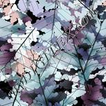 Colour:C