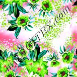 Colour:B