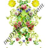 Colour:K
