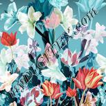 Colour:A
